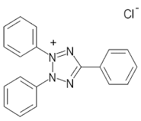 2,3,5 Tetrazolium Chloride