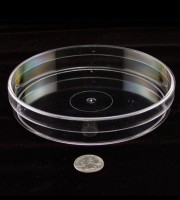 Container Acrylic 6"x1"