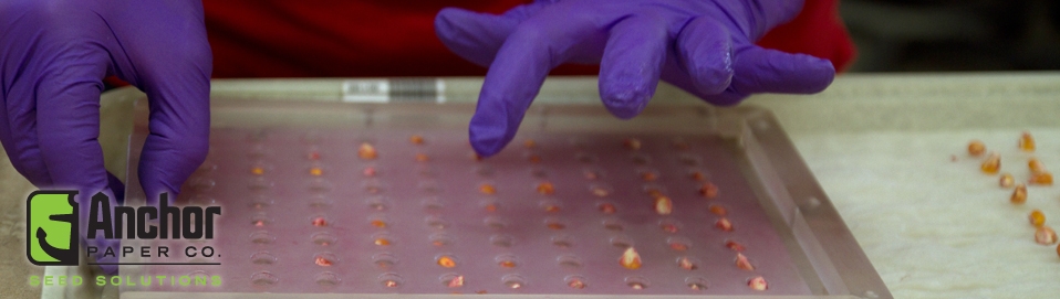 Seed Counting and Planting Trays/ Boards - Image 2