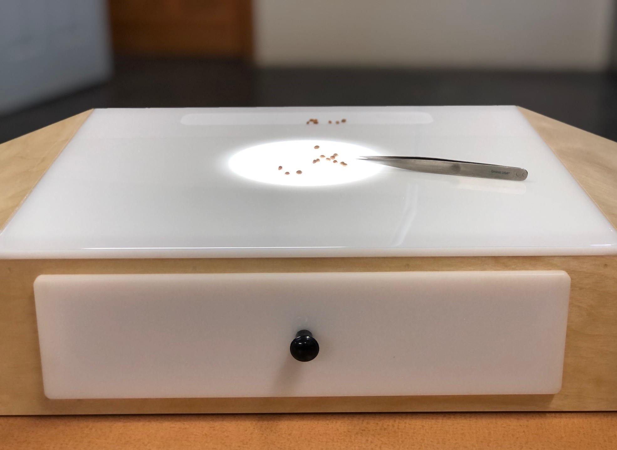 Purity Workboard with Dimmable LED